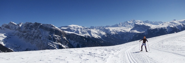 XC Skiing